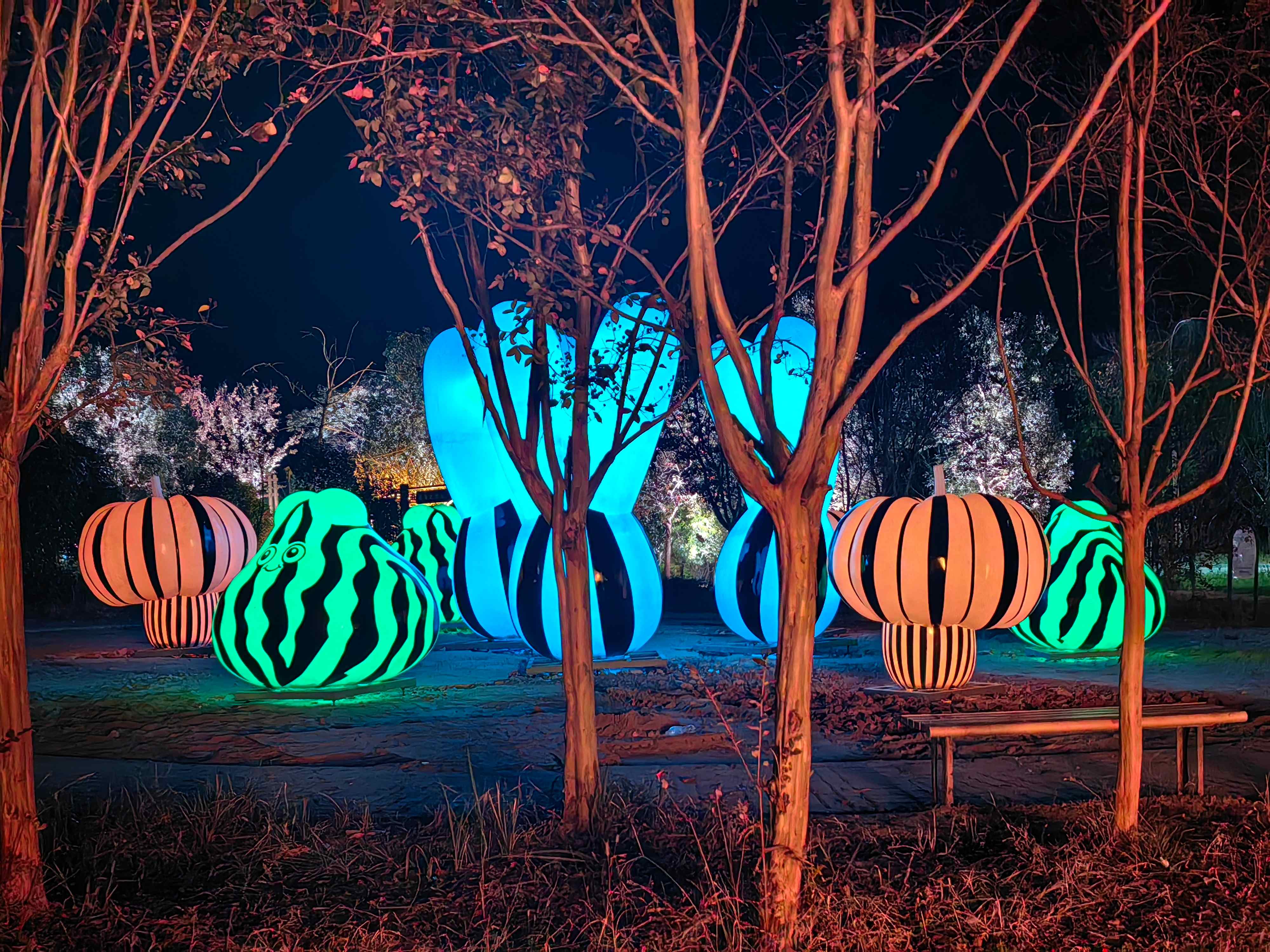 图片1.jpg 图片1.jpg