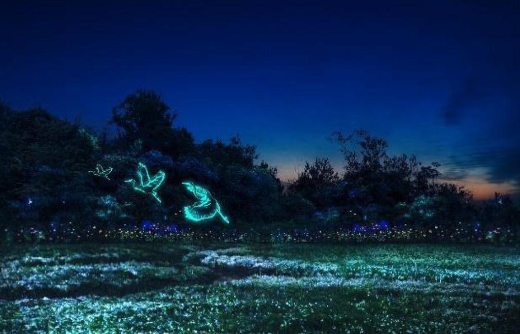 图片10.jpg 图片10.jpg